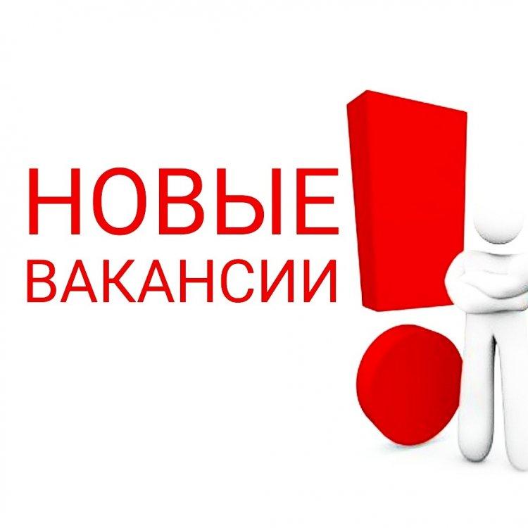 Вакансии на 2015-2016 учебный год